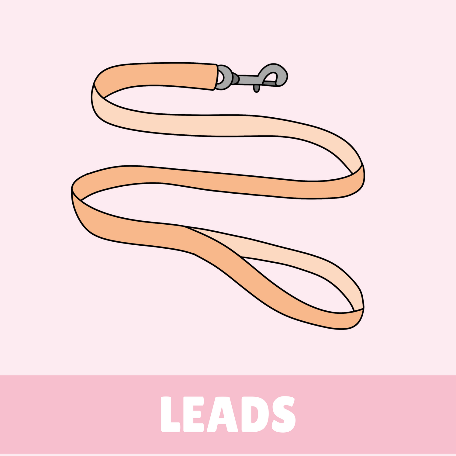 LEADS