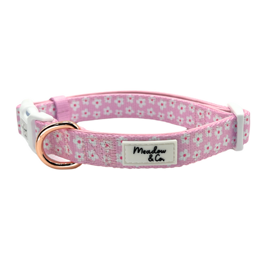 It's So Daisy Adjustable Collar