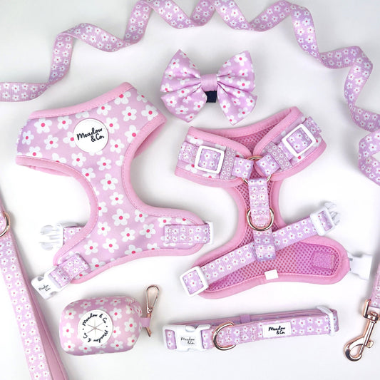 It's So Daisy Adjustable Harness Bundle